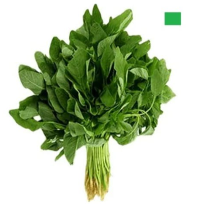 AMARANTHUS GREEN (चौलाई) (Approx weight 250-300gms per Piece) Main Image